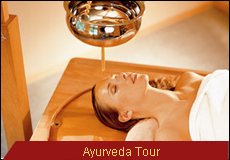 Travel Monitor India