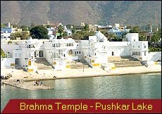 Travel Monitor India