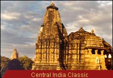 Travel Monitor India