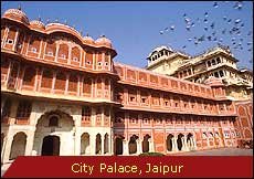 Travel Monitor India