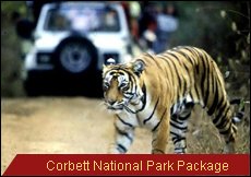 Travel Monitor India