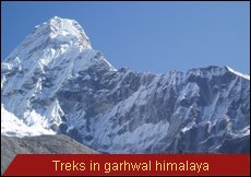 Travel Monitor India