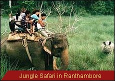 Travel Monitor India