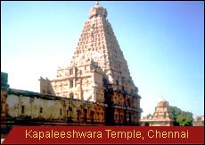 Travel Monitor India