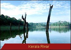 Travel Monitor India