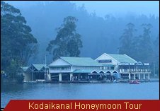 Travel Monitor India