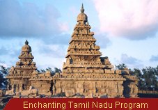 Travel Monitor India