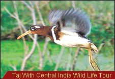 Tajmahal Tour Package, Agra Taj Mahal Tour India