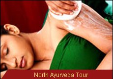 Travel Monitor India