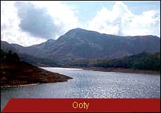 Travel Monitor India