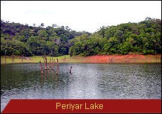 Travel Monitor India