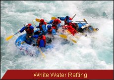 Travel Monitor India