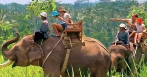 Corbett National Park Package